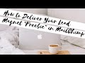 How To Deliver Your Lead Magnet “Freebie” In MailChimp