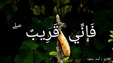 القارئ اسد حمود | تلاوة عطرة