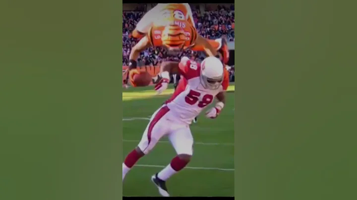 Crazy touchdown #crazyflip #jerome Simpson #bengals #comment #subscribe