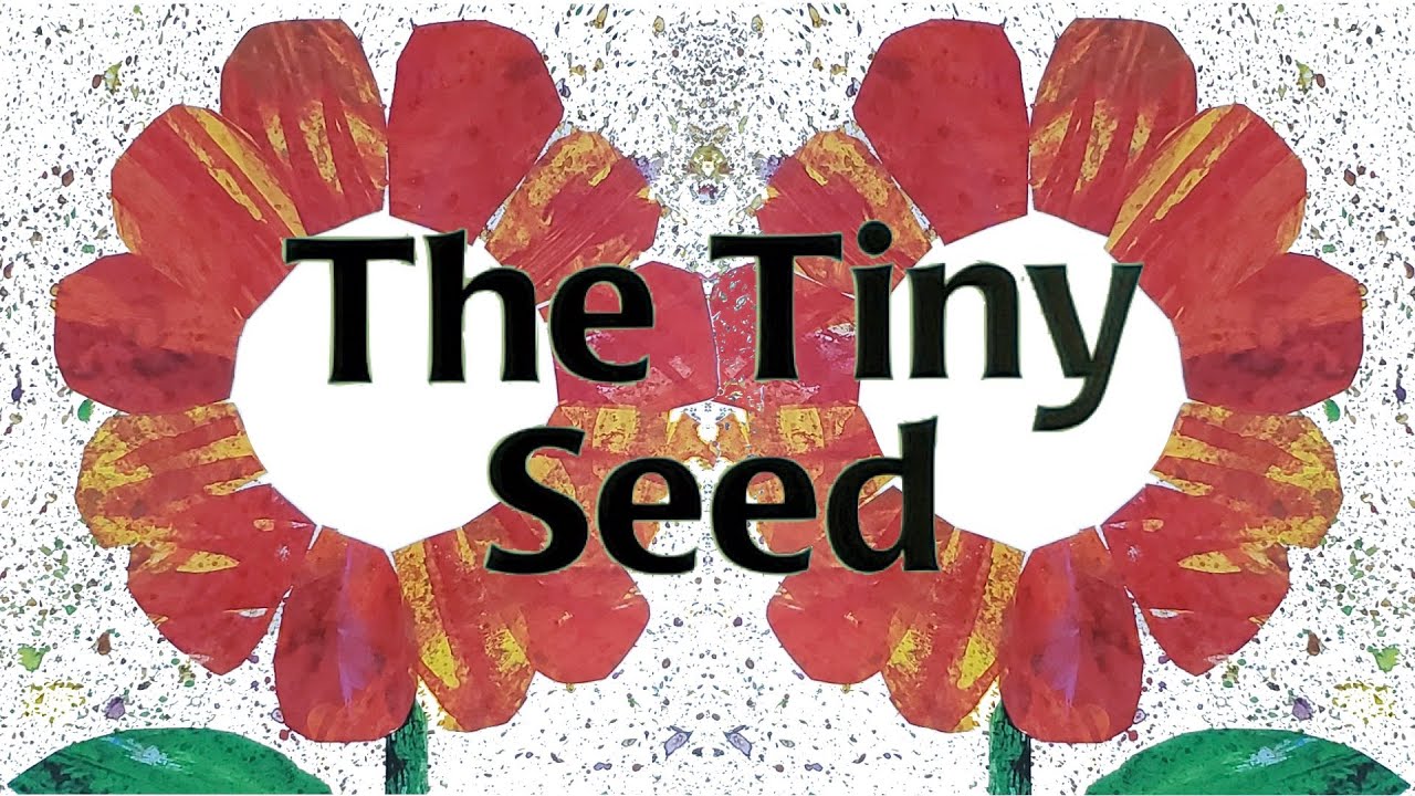 The Tiny Seed - a read out loud story book - YouTube