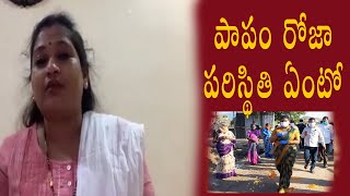 Vangalapudi Anitha Fire's On Ysrcp Mla Roja || Yellow Soldiers