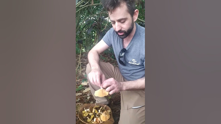 Se cae el mito de que los hongos con esponja son comestibles y con laminillas son tóxicos