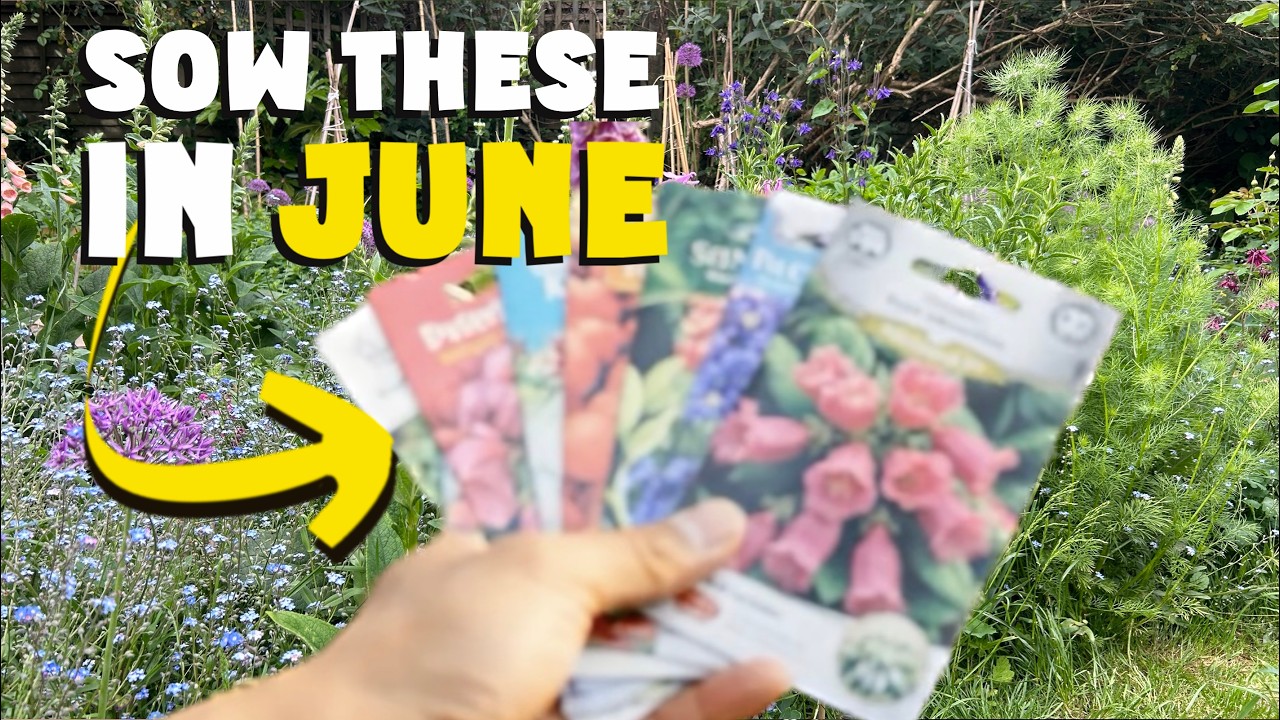 Sow these seeds now.