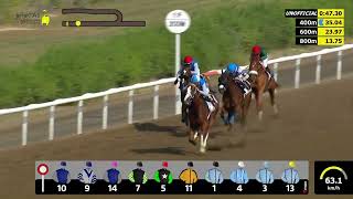Vidéo de la course PMU ESS MAIDEN CUP