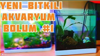 Yeni̇ Bi̇tki̇li̇ Akvaryum Kuruyoruz Bölüm