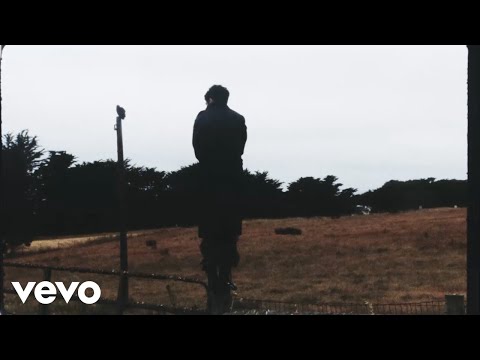 Del Water Gap - Eagle In My Nest (Official Visualizer)