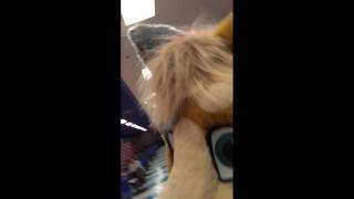 Blfc 2016 Gravy Montage