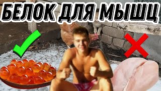 Белок. Лучшие источники для мышц, здоровья и похудения. Протеин.