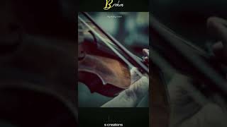 Violin bgm my story