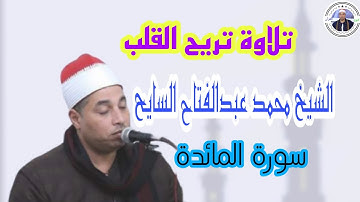 تلاوة خاشعة القارئ محمد عبدالفتاح السايح