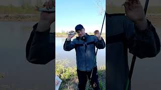 Рыбалка. Первая плотва сезона 2024.#fishing #shortvideo #fish #рыбалка