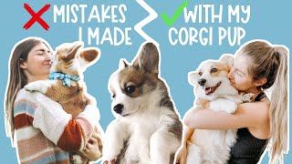 9 BIG Mistakes I Made With My Corgi Puppy | Everything I Wish I Knew Before I Got My Corgi Dog