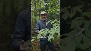 Les and Tom discover new species on the farm | The Tom Green Farm