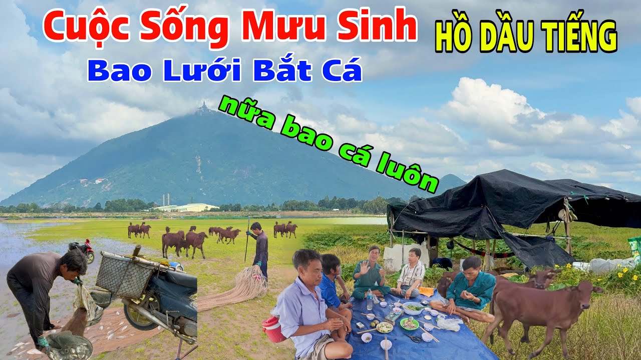 Khám Phá Cuộc sống Mưu Sinh Của Bà Con Bên Lòng Hồ Dầu Tiếng Tây Ninh