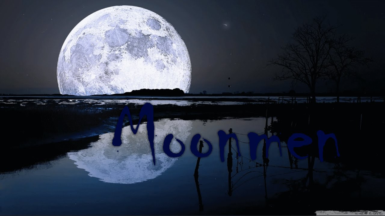 Goodbye moonmen- Dolphin Smiling
