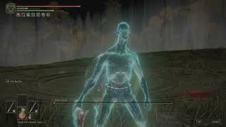 Elden Ring – Onyx Lord boss fight (Royal Grave Evergaol)