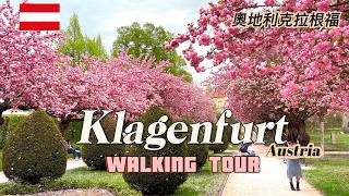 Klagenfurt, Austria 2026 | 4K | Cherry Blossom Blizzard &amp; Street Food Festival