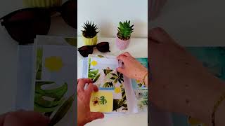 Présentation Carnet de Voyage "Tropical Dreams" - Scrapbooking