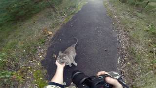 Getting For The First Time An Unexpected Visitor In Pripyat