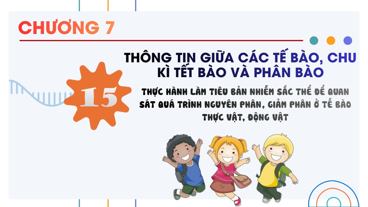Sinh 10 |Chương 7| Bài 15: THỰC HÀNH LÀM TIÊU BẢN NHIỄM SẮC THỂ ĐỂ QUAN SÁT