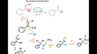Fischer esterification