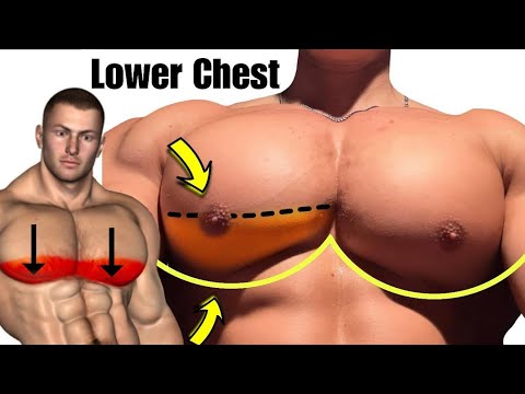 Best Lower chest Exercises to Force Your Chest to Grow thumbnail