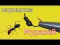 Как сделать уловистую мормышку -безмотылку "Муравей"? My fishing