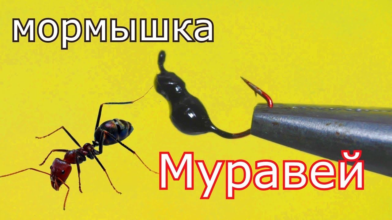 Как сделать уловистую мормышку -безмотылку &quot;Муравей&quot;? My fishing