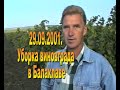 2001  уборка винограда