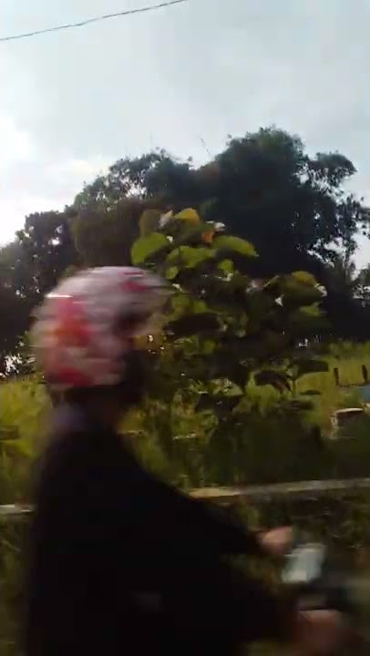 rini. ariyani