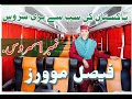 Faisal Movers |bus service | LATEST BUSES IN PAKISTAN | TOP BUSES IN PAKISTAN | Vlog #FAISAL_MOVERS