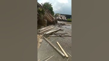in homestead fl