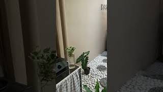 Taman indoor sederhana minimalis | taman indoor rumah subsidi #tamanindoor