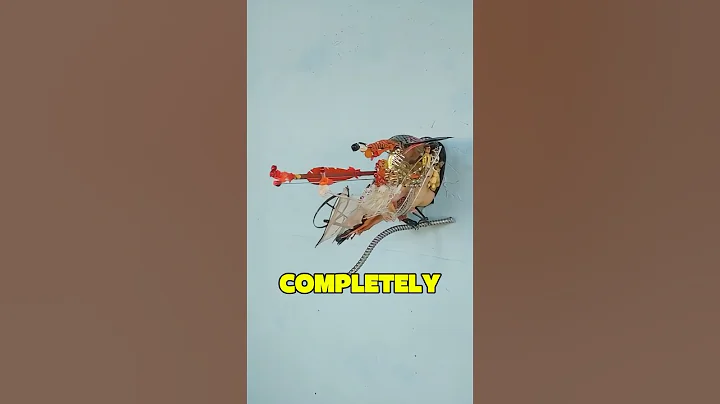 Artist Thomas Deininger Turns Trash Into Lifelike Animal Sculptures