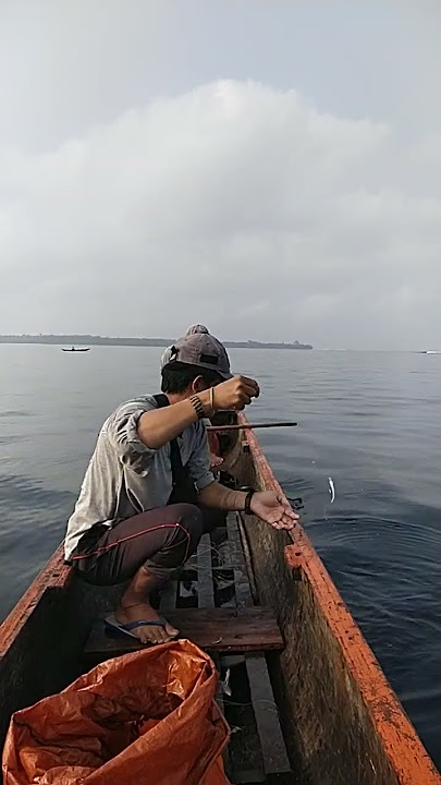 Part 3: Sumpah! Ikannya Buanyak #mentawai #beriulou #nelayanmentawai #shortvideo #viral