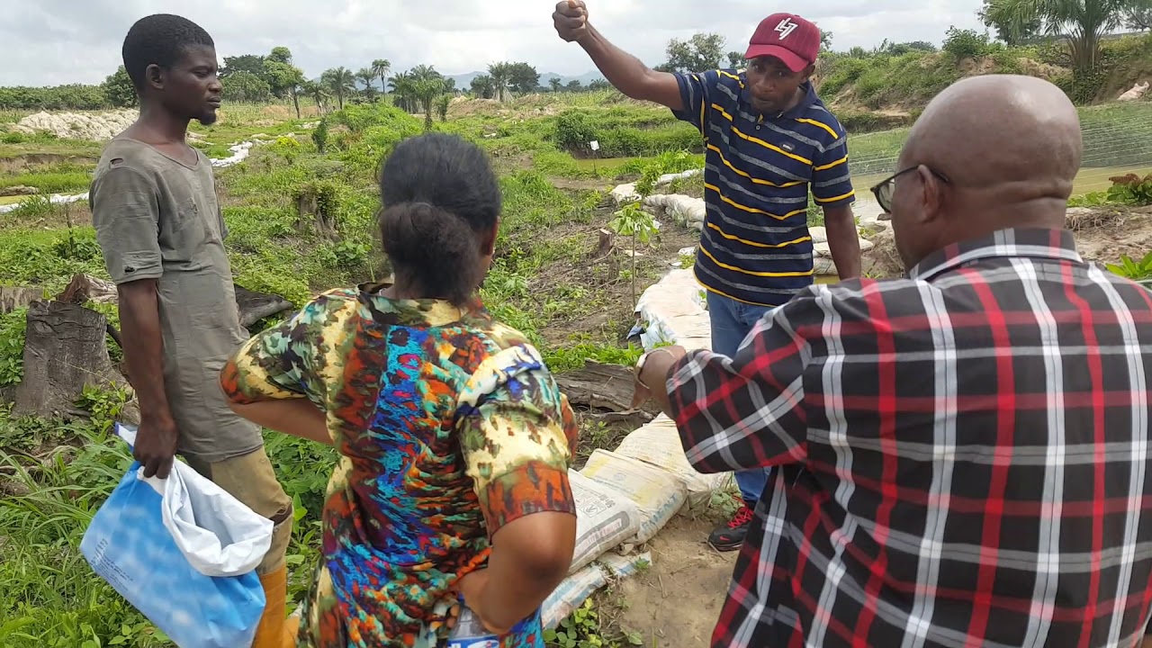 ACO Fish Farm Abuja YouTube
