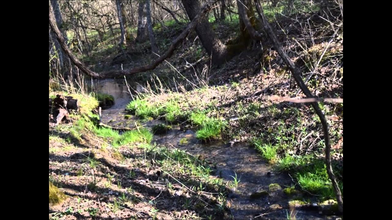 East Tennessee Mountain Property