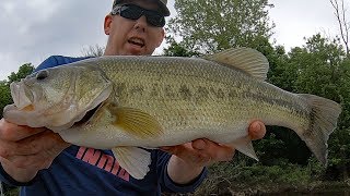 Fishing for Bass with Bluegill - Catching Bass with Live Bait