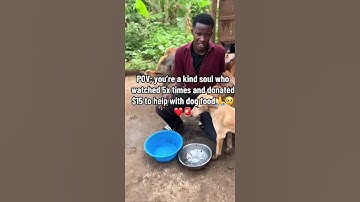 please consider donating to our PayPal link in bio on our Instagram page for support #givelove