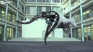Awesome Robots Inspired By Animals(A display of robots that mimic the bio-mechanics of animals for locomotion. Mimicking animal forms of locomotion may be more appropriate for traversing rough ..., 2015-01-06T17:17:12.000Z)