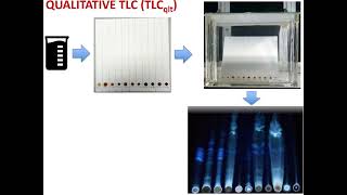 Chromatographic Techniques in Microbiology #tlc #HPTLC#hplc#gcms