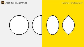 Easy How to Use Ellipse Tool and Modify - Adobe Illustrator Tutorial