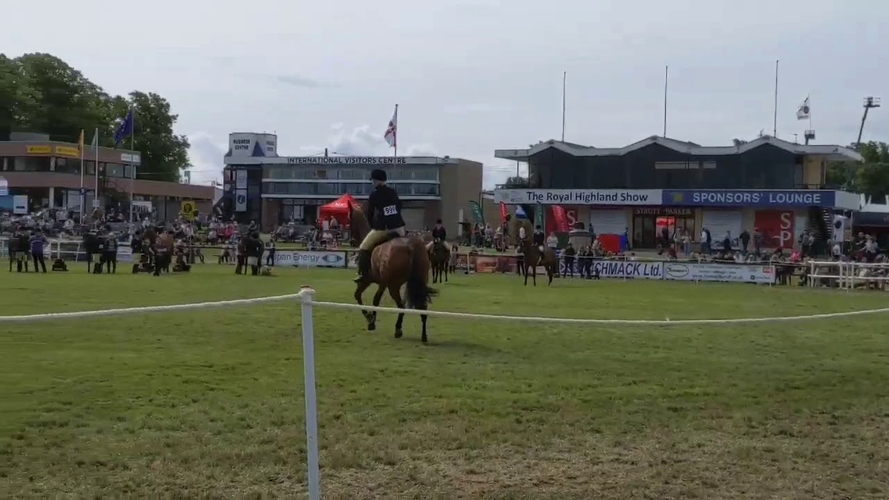 Class 73   Emma Gunn and Penskyber Mayflower