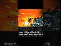 हर अंत एक बेहतर शुरुआत है🌟