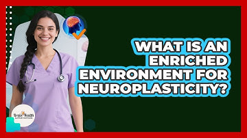 What Is An Enriched Environment For Neuroplasticity? - Brain Health Support Network