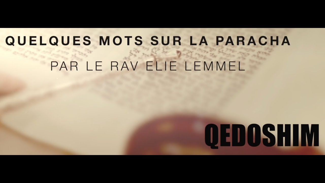 A l'origine de la vie ! Rav Elie Lemmel - Paracha Kedochim