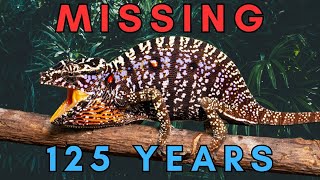 Lost and Found - The Rediscovery of 5 Lost Species