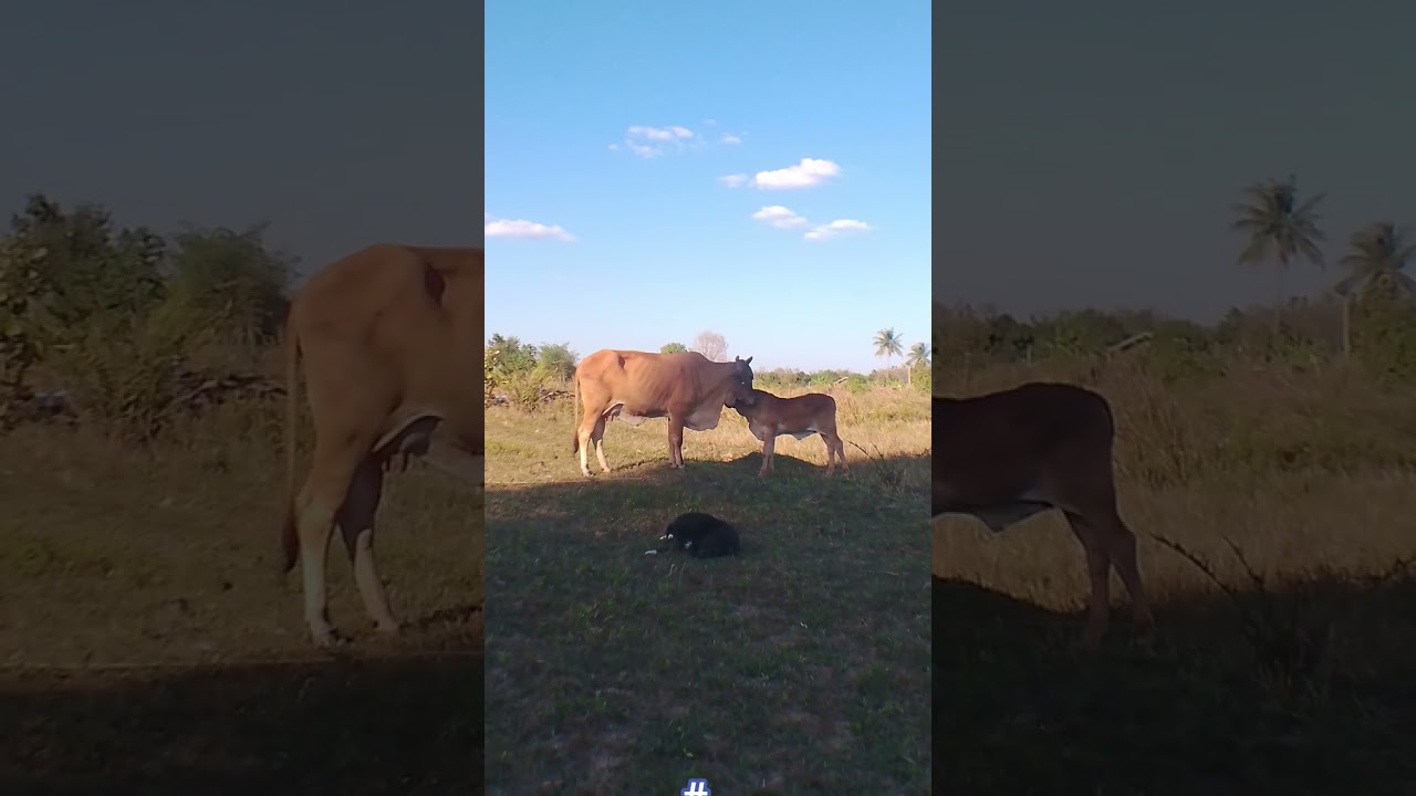 #เทรนด์วันนี้มาแรง