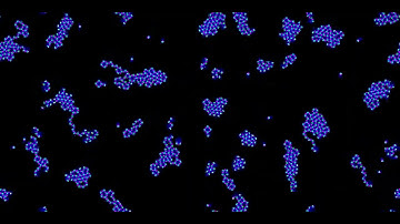 Multiple Neighborhood Cellular Automata - Slackermanz