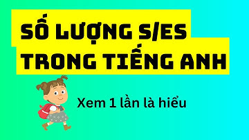 Số lượng s/es trong tiếng Anh - Xem 1 lần là hiểu